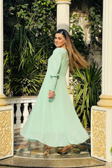 VETIVER DRESS In Mint Green Chiffon